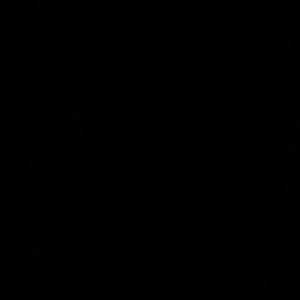 Meet your Posher, Don